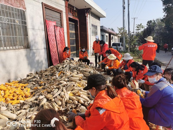 1680244982.jpg 圖片17.jpg