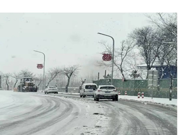 1680570591985267.jpg 圖片8.jpg